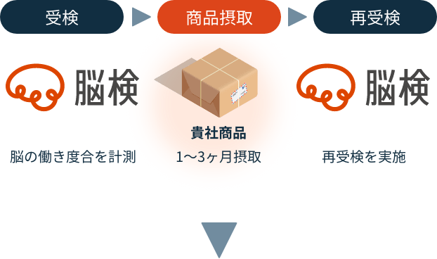 脳検受検（脳の働き度合を計測） → 商品摂取（貴社商品1〜3ヶ月摂取） → 脳検再受検を実施